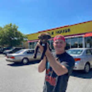 Meet your Posher, Kylie